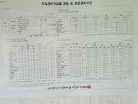 1급성일카랜드
