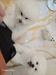 멍마실