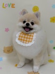 그루밍멈머