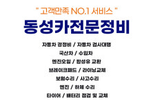 카포스 동성카전문정비