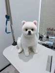 플러플리 FLUFFLY