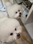 멍마실