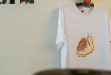 호연