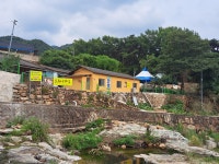 오동나무집