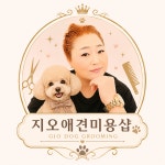 지오애견미용샵