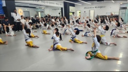 경희대석사 The 비채