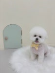멍문살롱