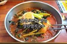 열린멸치국수