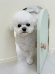 멍문살롱
