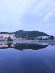 태창몰부동산중개