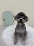 멍문살롱