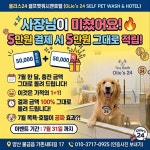 올리스24셀프펫워시엔호텔