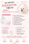 뽀송뽀송하개