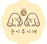 눈이부시개 애견유치원호텔