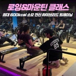 에프엘짐 강남구청점