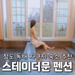 스테이더문