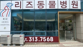 리즈동물병원
