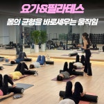 에프엘짐 강남구청점
