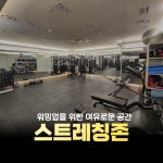 모브짐