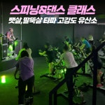 에프엘짐 강남구청점