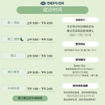 연세포커스안과의원