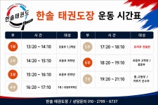 한솔태권도