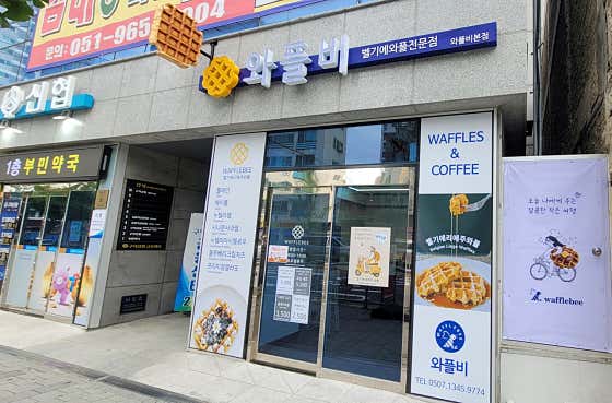 와플비 사진