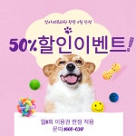 왕왕 강아지애견유치원 마포점