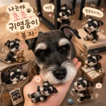 멍뭉펫살롱