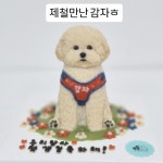 꼬리별펫케이크
