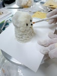 기미상견펫푸드전문학원