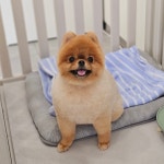 제이스그루밍