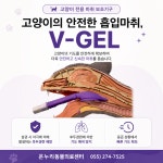 온누리동물의료센터
