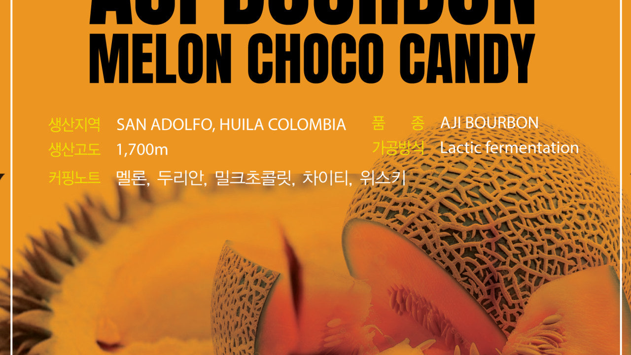 몰리커피랩 1호점