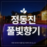 풀빛향기