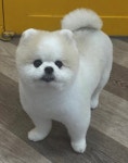 까까멍