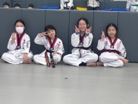 백일홍천지태권도