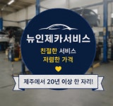 뉴인제카서비스