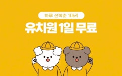 옐레드 애견유치원&애견호텔 부산용호점