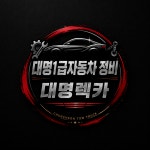 춘천대명렉카