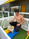 댕겨올개 애견유치원 & 애견호텔