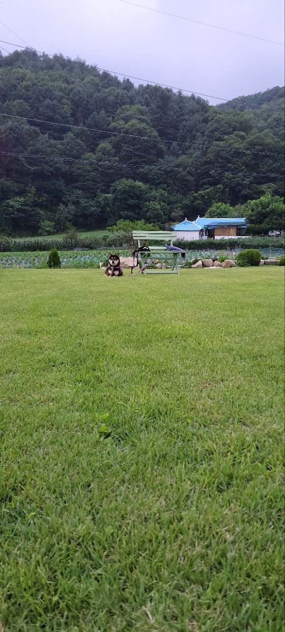 커피와복덕방 사진