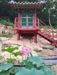 대암사