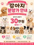 품안에 도그앤캣
