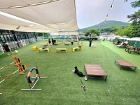 애견학교 바니버니 애견훈련소&애견호텔