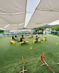 애견학교 바니버니 애견훈련소&애견호텔