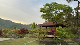 서대산솔향스테이