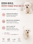 서면애견미용 호텔24시상주 유독