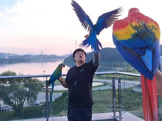 리움 베이커리카페 사진