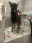 양주복독방